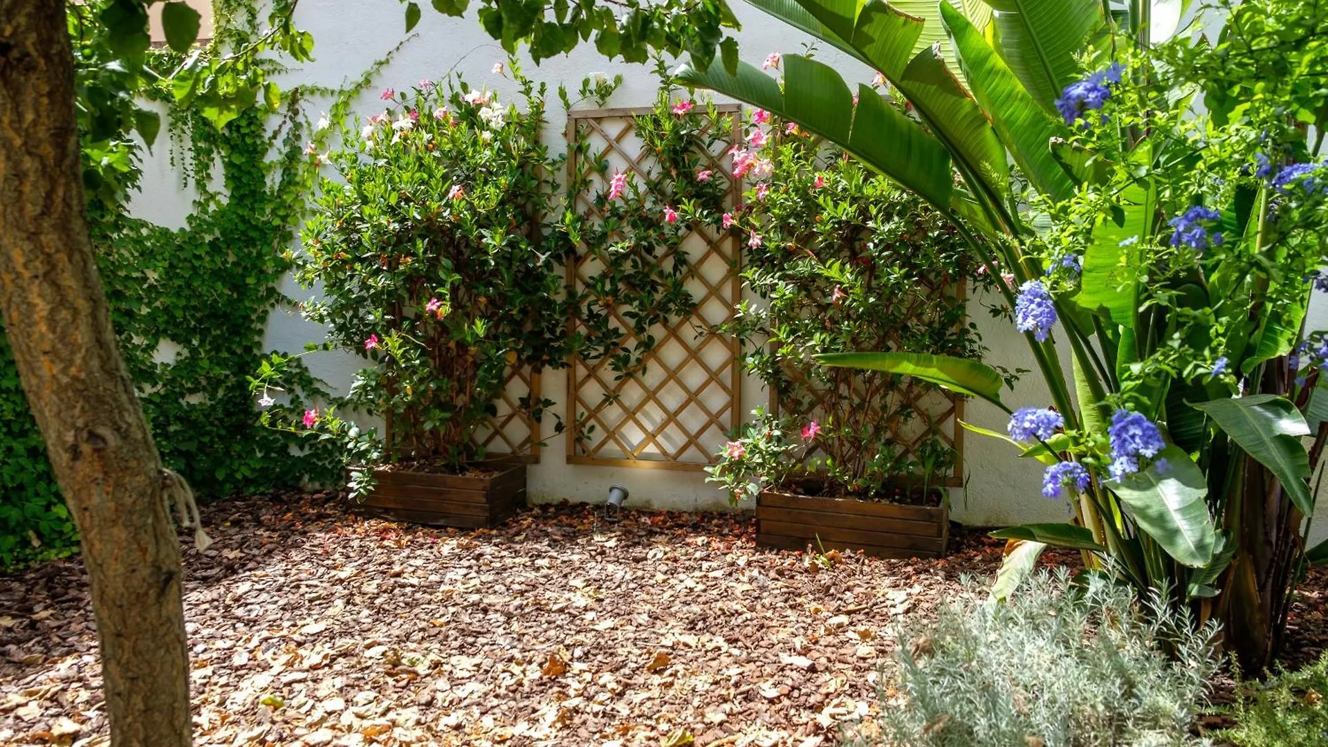 Pretty House Sa Font In Santa Catalina Palma City Spanien